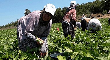 Balıkesirli üreticinin yüzünü Büyükşehir güldürdü