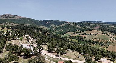 Başkan Ercan Özel: "Gönül rahatlığıyla Kozdere Çamlığı'nda piknik yapılabilir"