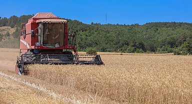 Bilecik'te 75 bin ton buğday üretildi