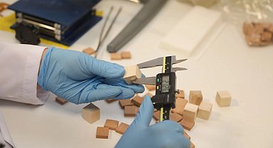 BTÜ'den yerli odun türlerini mobilya ve yapı sektörüne kazandıracak proje