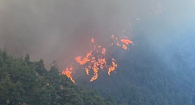 Bursa’da Ciğerlerimiz Yanıyor! 