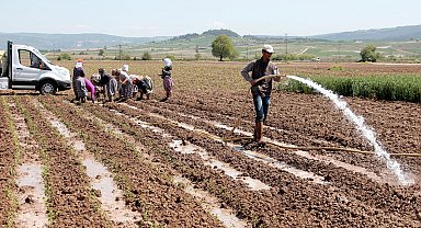 Bursa Yenişehir Ovası'ndan su krizi uyarısı! Yenişehir'de su seviyesi tehlikede!