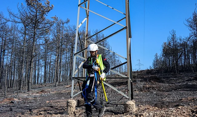 Bursa'daki yangın bölgesinde enerji hatları onarılıyor