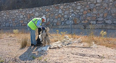 Büyükşehir’den yangın bölgelerinde çevre temizliği