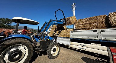 Büyükşehir'den yangın bölgesine yem desteği