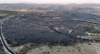 Çanakkale Ayvacık’ta Tahliyeler Başladı