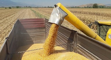 CHP'li Ün: Mısır ithalatını durdurun, çiftçi nefes alsın!