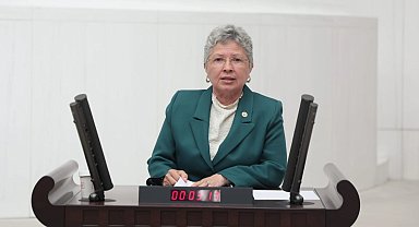 CHP'li Yontar: Zeytini kömüre feda etmek geleceğe ihanettir!