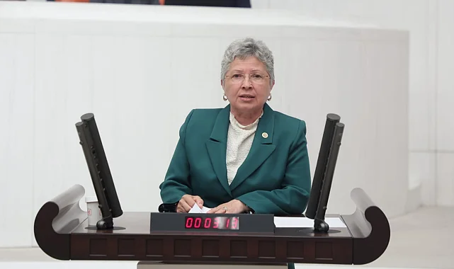 CHP'li Yontar: Zeytini kömüre feda etmek geleceğe ihanettir!