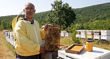 Coğrafi işaretli 'Yalova Kestane Balı' sofralarda parlıyor