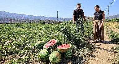 Efes Selçuk'ta karpuz tarlasında umut filizlendi! Üretici çaresiz, belediye destekte