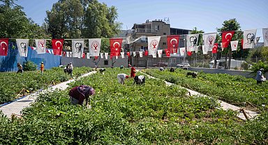 Gıda güvenliği mesajı Bornova'dan verildi