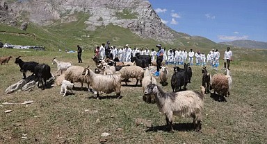 Hayvan Pazarları Kapatıldı
