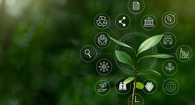 İklim Kanunu 'Resmi'leşti... İklim değişikliğiyle mücadelede yeni dönem