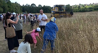 İstanbul Şile'de keten hasadı gerçekleştirildi 