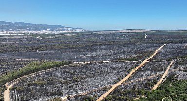 İzmir'de yangınlara karşı olağanüstü yol haritası belirlendi