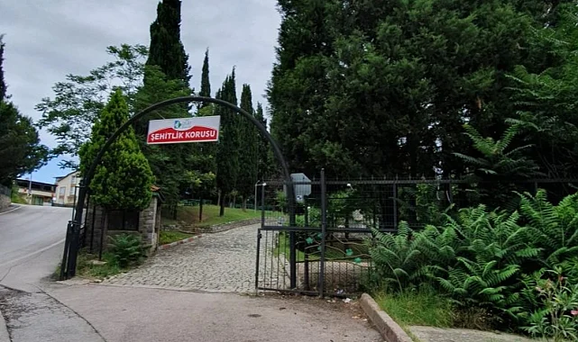 İzmit Şehitlik Korusu'nda mangal yasaklandı