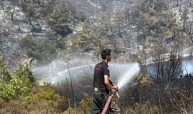 Kocaeli itfaiyesi Bursa'ya desteğe koştu