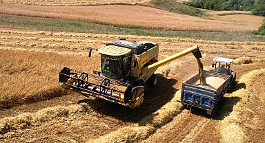 Kocaeli'de 57 bin dekarda hasat sevinci