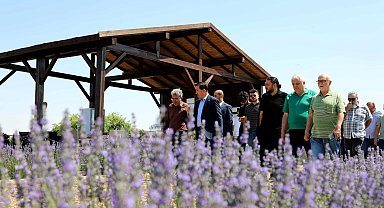 Konya Karatay Lavanta Bahçeleri'nde görsel şölen heyecanı