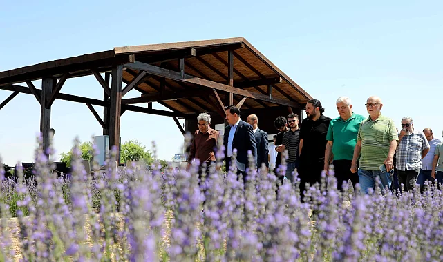 Konya Karatay Lavanta Bahçeleri'nde görsel şölen heyecanı