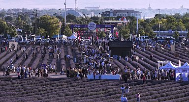 Konya Karatay'ın mor güzelliği rekorla taçlandı