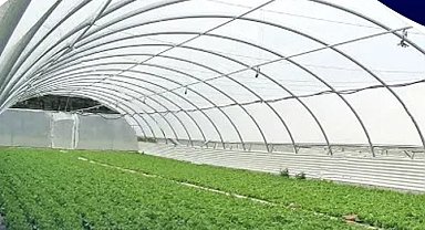 KOP destekli seracılık projesi Selçuklu'da hayata geçiyor