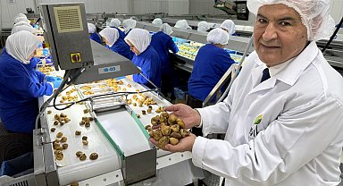Kuru meyve sektöründe 12 şampiyonun 11'i Egeli