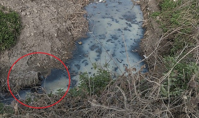 Mahalleliyi İsyan Ettiren Kirlilik