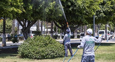 Mersin'de ilaçlama çalışmaları sürüyor