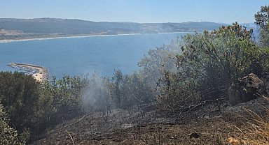 Mudanya kırsalında yangın! Buğday tarlası son anda kurtarıldı