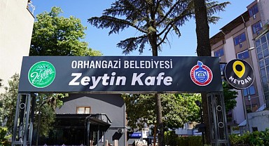 Orhangazi Belediyesi Zeytin Kafelerde Hafta Sonu Yoğunluğu