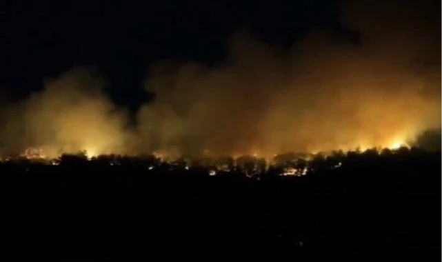 Orman'dan 22 Temmuz raporu: Müdahale edilen 54 yangından 51'i kontrol altında