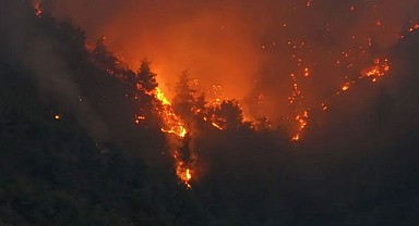 Sakarya-Bilecik Yangını Kontrol Altında