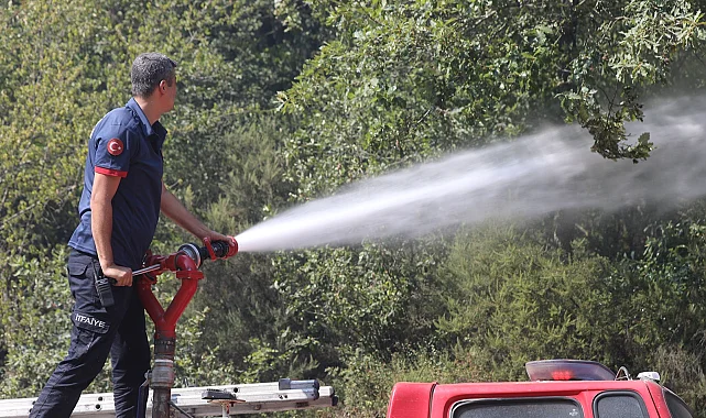 Sakarya'da aynı anda 3 orman yangını: Nuruosmaniye'de müdahale devam ediyor