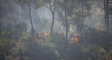 Seferihisar ve Menderes yangınlarının bilançosu ağır