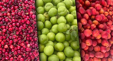 Sert ve yumuşak çekirdekli meyveler zirvede