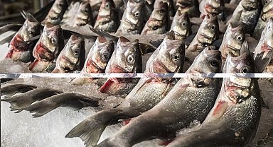 Su ürünlerinde 24 ihracat şampiyonunun 13'ü Egeli