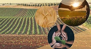 Tarımsal örgütlere yönetmelik ayarı