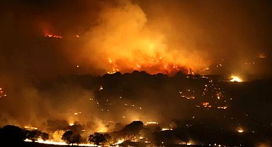 Tekirdağ ve Çanakkale’de Ciğerlerimiz Yanıyor