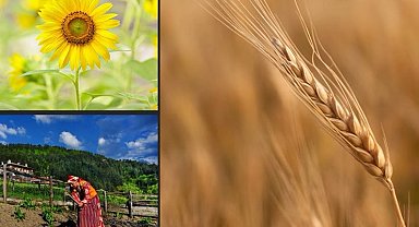 Türkiye tarımsal hasılada rekor kırdı! Tarımsal hasıla 70 milyar dolar sınırını aştı