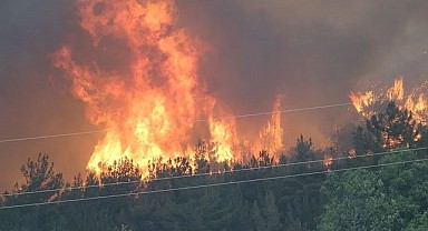 Türkiye Yanıyor Mücadele Sürüyor