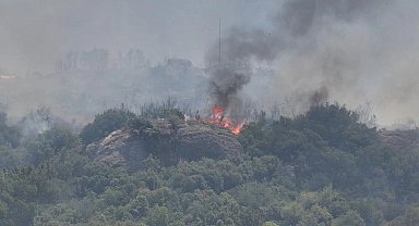Üç günde 10 bin hektar kül oldu