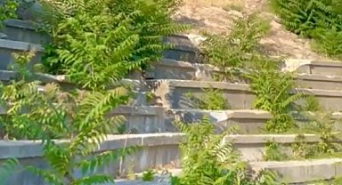 Vize Antik Kenti ilgisizlikle yok oluyor! Tarihi miras için acil çağrı!