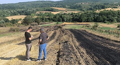 Yangında zarar gören çiftçilere Kocaeli'de tohum desteği