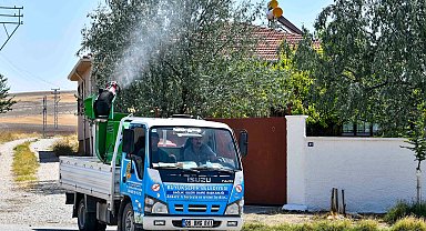 ABB'den haşerelere karşı ilaçlama çalışması