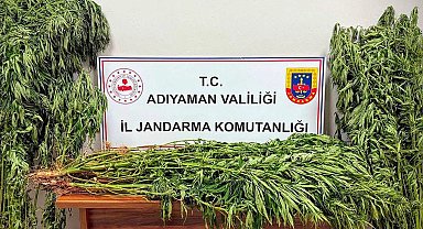 Adıyaman'da uyuşturucu operasyonu: 9 gözaltı