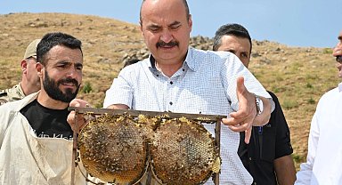 Batman Sason'da bal hasadı coşkusu