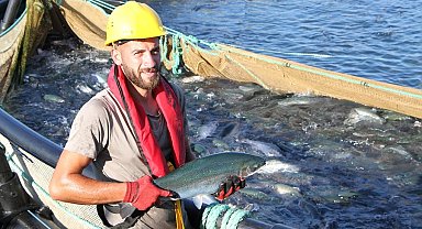 Bu filmin başrolünde Türk Somonu oynadı