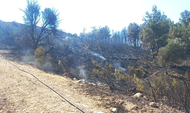 Buca ve Aliağa'da çıkan yangınlar kontrol altında